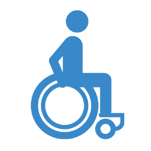 Wheelchair Icon